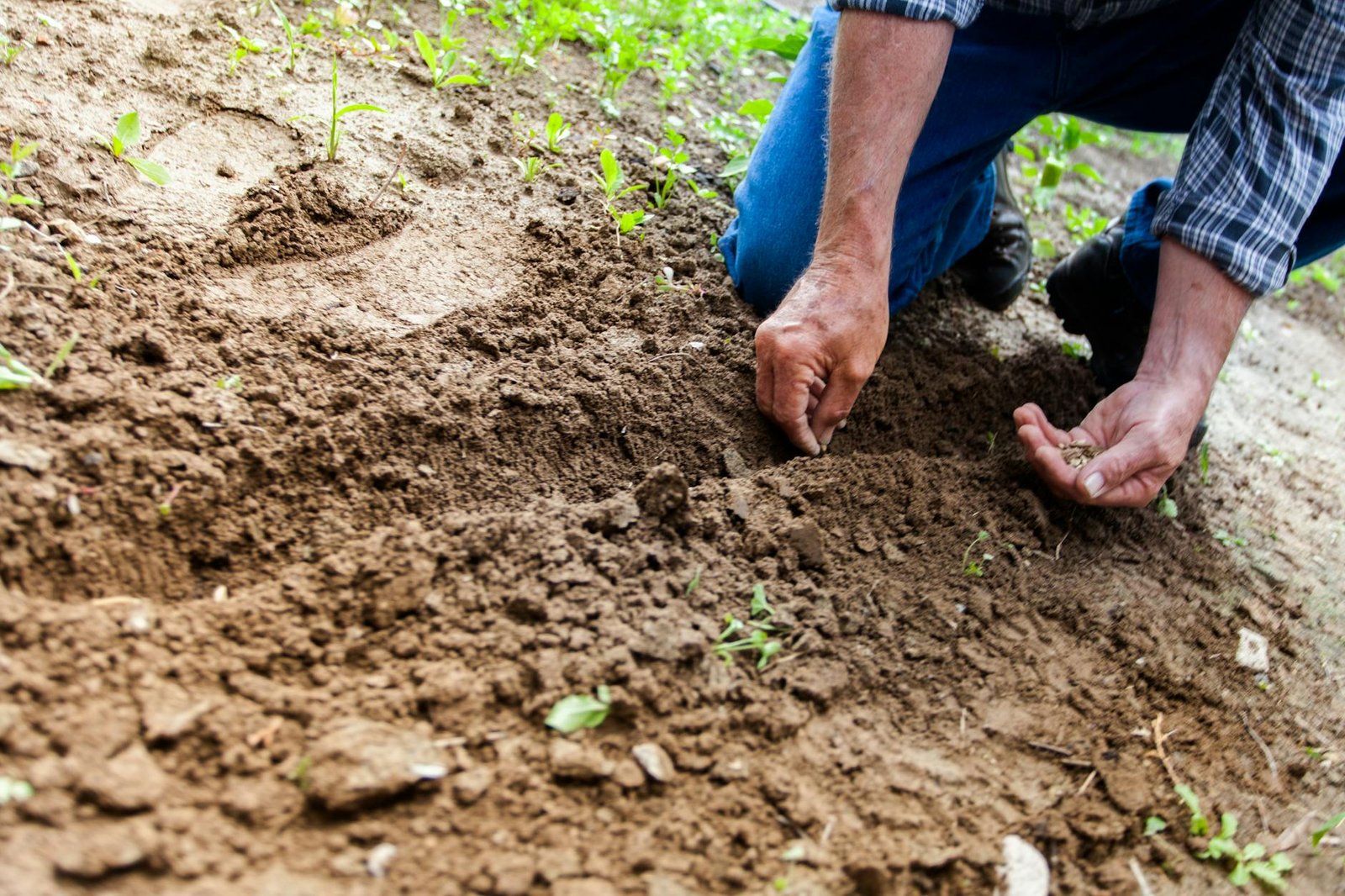 Top Ten Outdoor Learning Activities for Preschoolers to Enhance Development