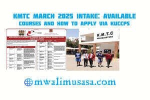 poster_2025-01-30-035954