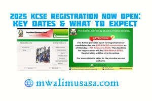 poster_2025-02-18-055110